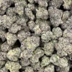 Grape Gas - Image 2