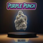 Purple Punch (Legacy)