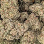Skywalker OG - Image 2